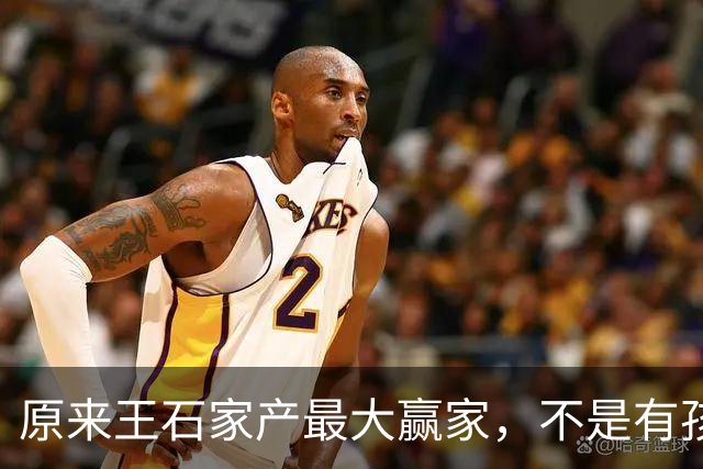 原来王石家产最大赢家，不是有孩子的田朴珺，而是不露面的大女儿