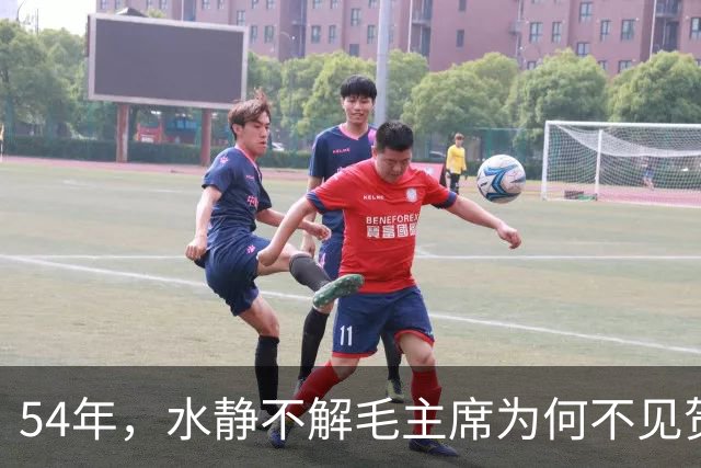 54年，水静不解毛主席为何不见贺子珍，杨尚奎：江青又要大吵大闹